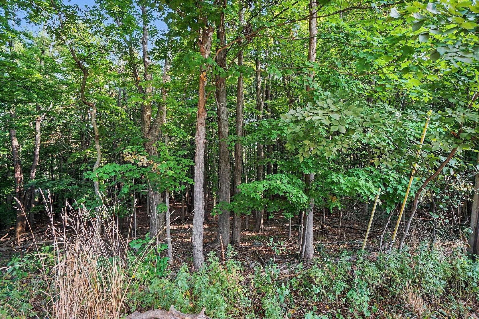 0.63 Acres of Land for Sale in Kalamazoo, Michigan