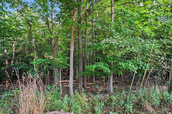 0.63 Acres of Land for Sale in Kalamazoo, Michigan