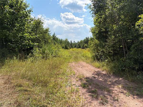 80 Acres of Recreational Land for Sale in Ashland, Wisconsin