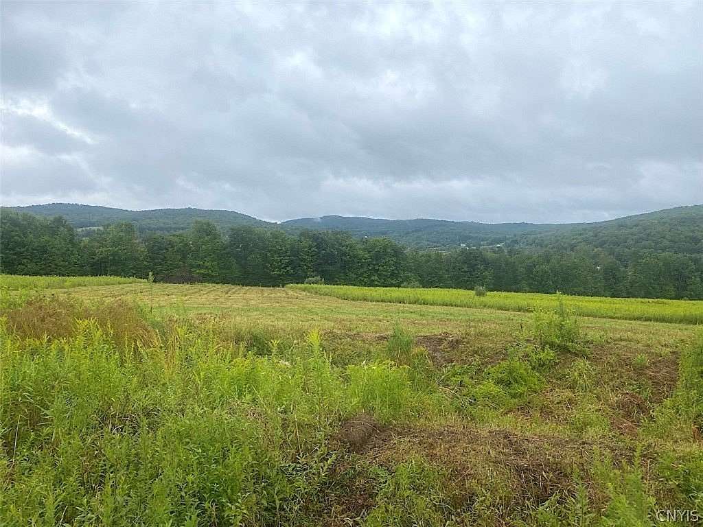 60 Acres of Recreational Land for Sale in Friendship, New York