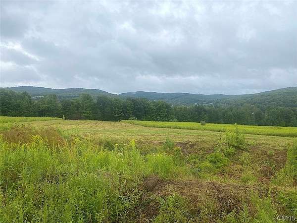60 Acres of Recreational Land for Sale in Friendship, New York