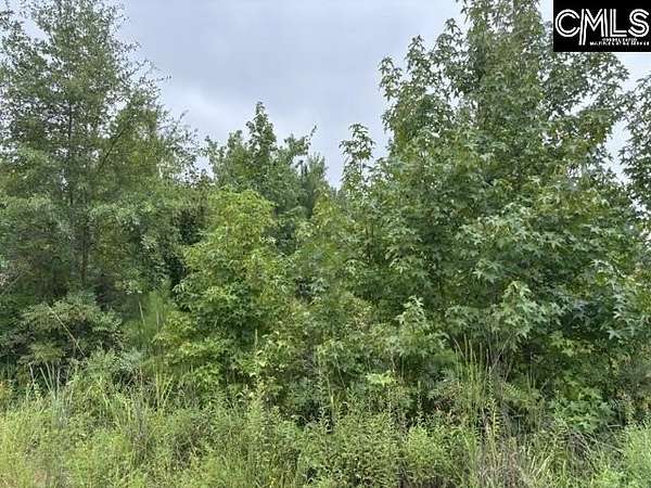 1.34 Acres of Residential Land for Sale in Blythewood, South Carolina