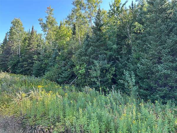 142 Acres of Recreational Land for Sale in Lake Nebagamon, Wisconsin