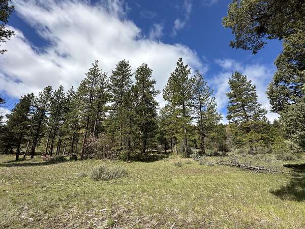 80 Acres of Recreational Land for Sale in Klamath Falls, Oregon