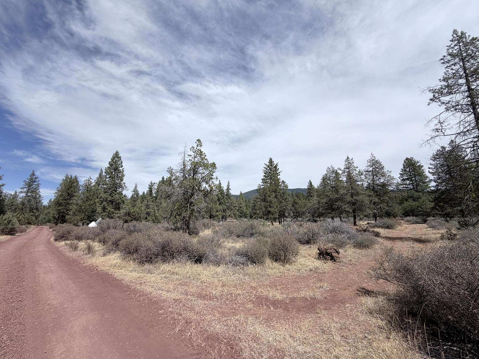 5.15 Acres of Land for Sale in McArthur, California
