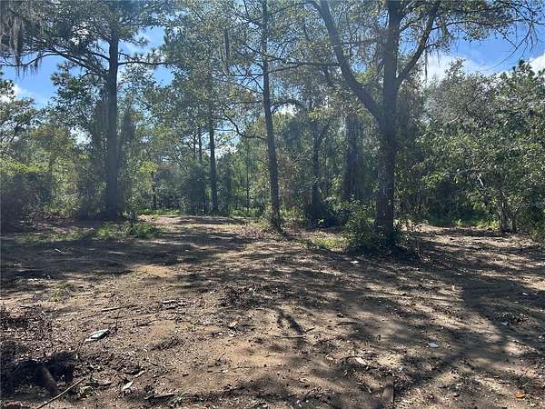 1 Acre of Residential Land for Sale in Williston, Florida