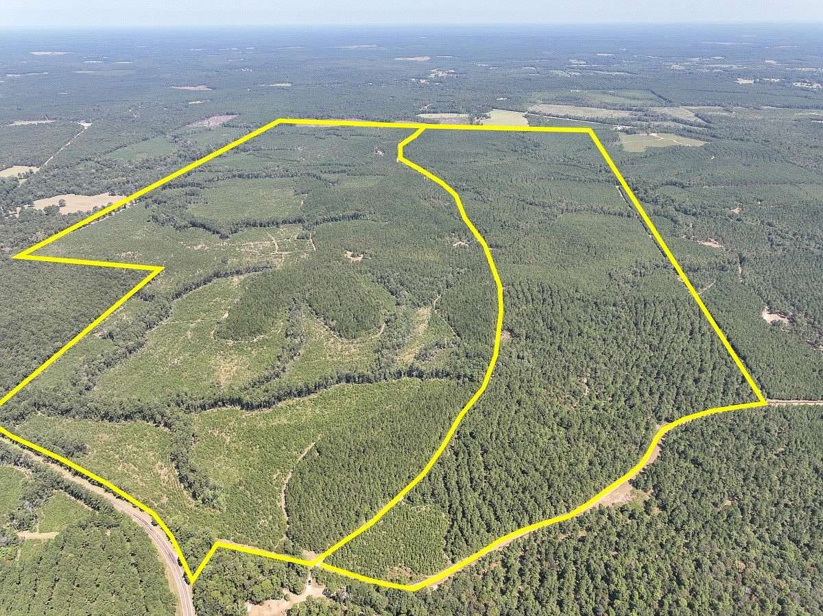 196 Acres of Land for Sale in Woodville, Texas
