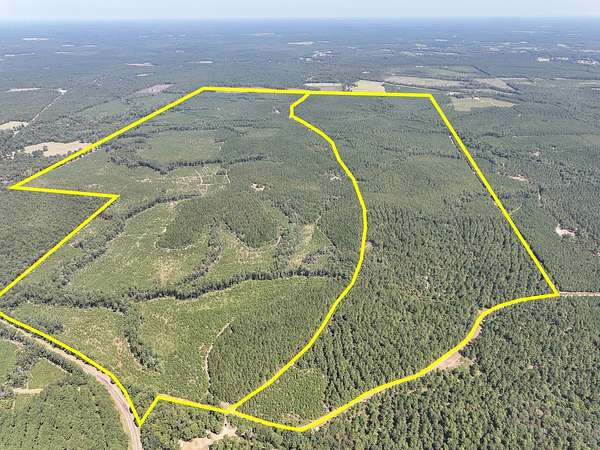 196 Acres of Land for Sale in Woodville, Texas