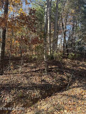 1.13 Acres of Residential Land for Sale in Sevierville, Tennessee