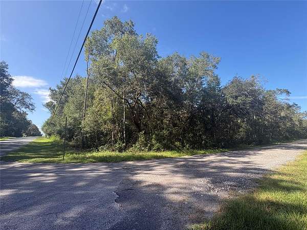 0.44 Acres of Residential Land for Sale in Inverness, Florida