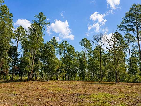 2.2 Acres of Residential Land for Sale in Monticello, Florida