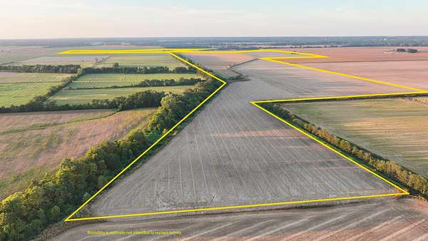 580 Acres of Land for Sale in Helena, Arkansas