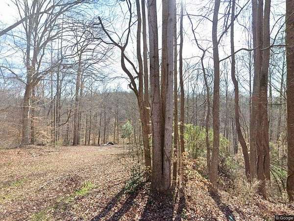 10.6 Acres of Recreational & Residential Land for Sale in Fair Play, South Carolina