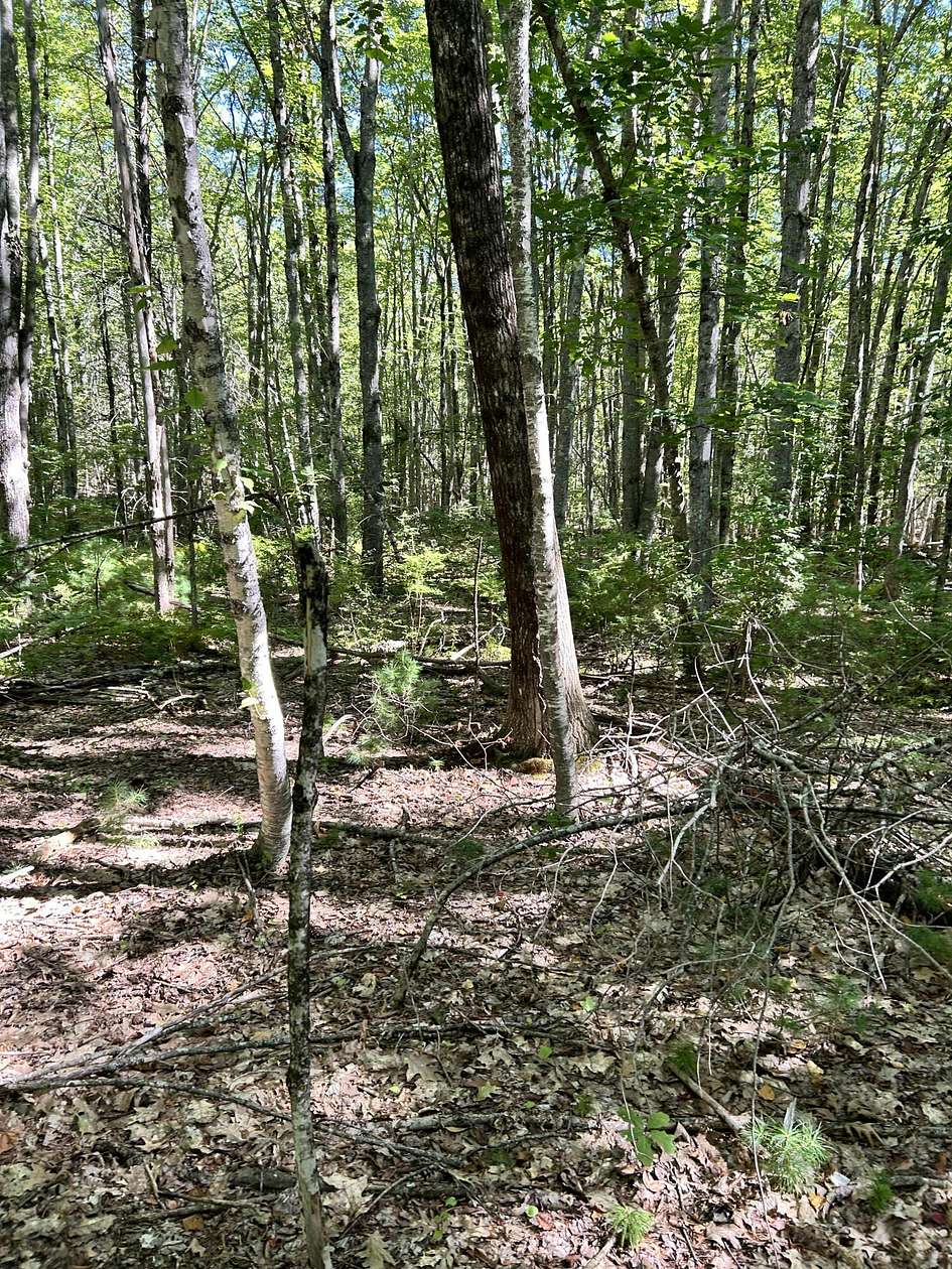 5 Acres of Residential Land for Sale in Lyman Town, Maine