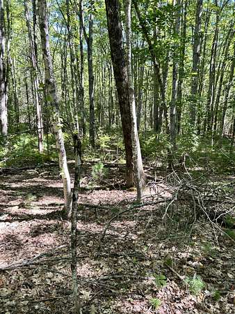 5 Acres of Residential Land for Sale in Lyman Town, Maine