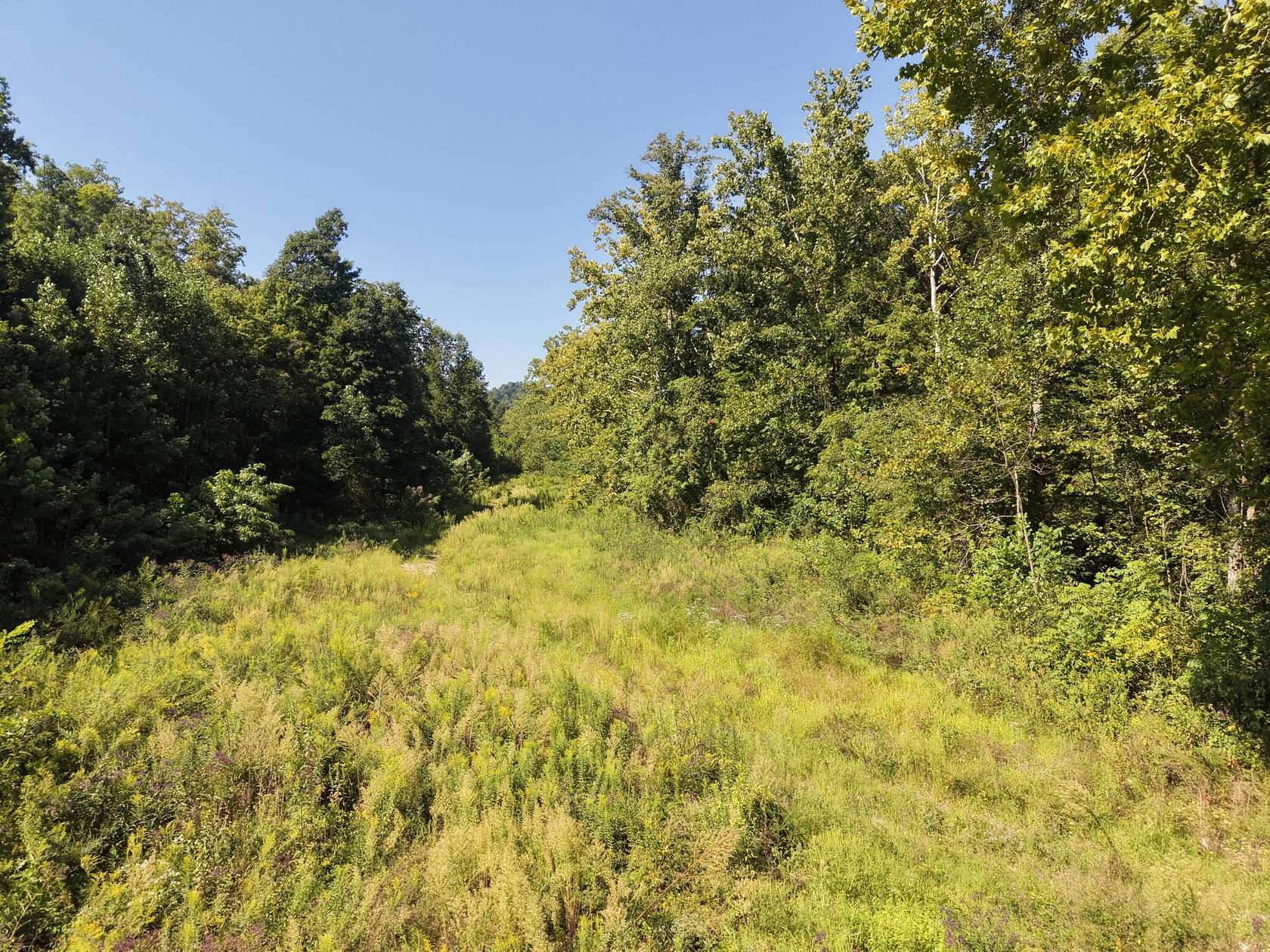 350 Acres of Recreational Land for Sale in Jeffersonville, Kentucky