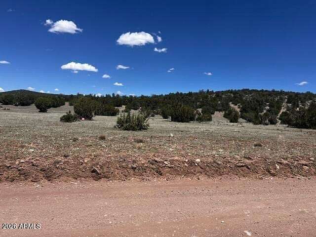 45 Acres of Recreational Land for Sale in Seligman, Arizona