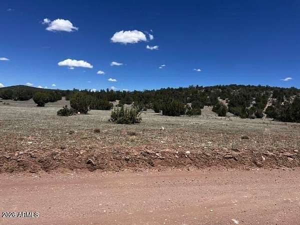 45 Acres of Recreational Land for Sale in Seligman, Arizona