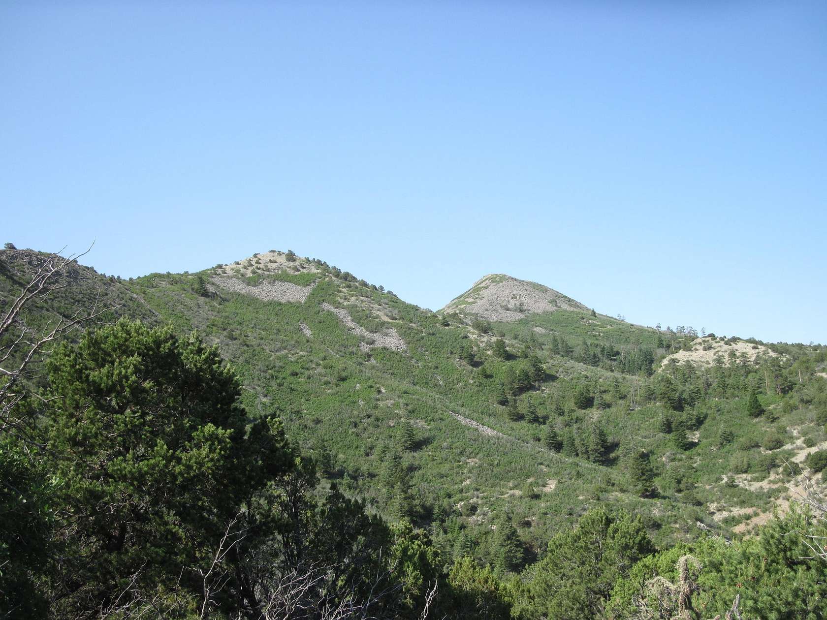100 Acres of Recreational Land for Sale in Sandia Park, New Mexico