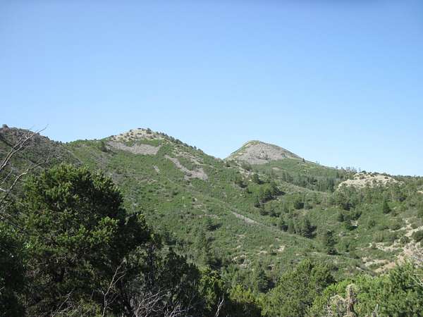 100 Acres of Recreational Land for Sale in Sandia Park, New Mexico