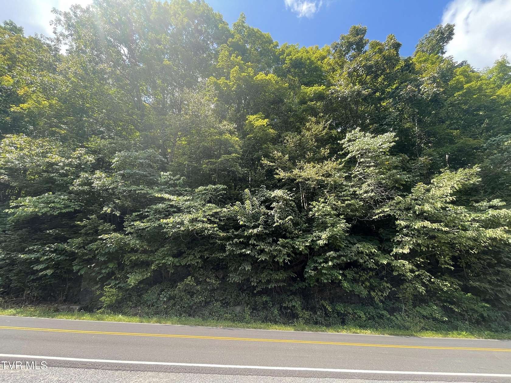 1.32 Acres of Residential Land for Sale in Lebanon, Virginia