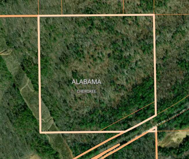 Land for Sale in Leesburg, Alabama