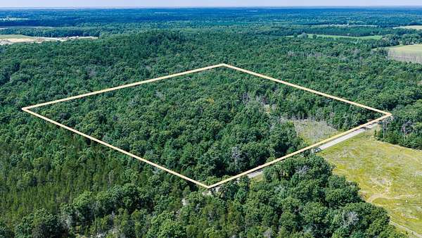 40 Acres of Land for Sale in Friendship, Wisconsin