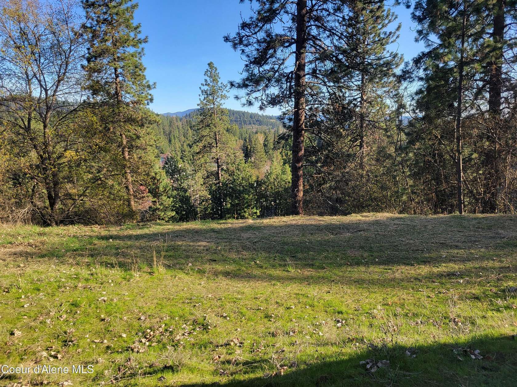 0.56 Acres of Residential Land for Sale in Coeur d'Alene, Idaho
