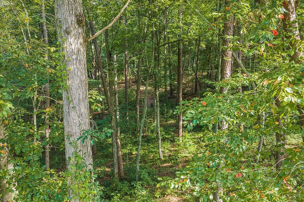 1.19 Acres of Residential Land for Sale in Ellijay, Georgia
