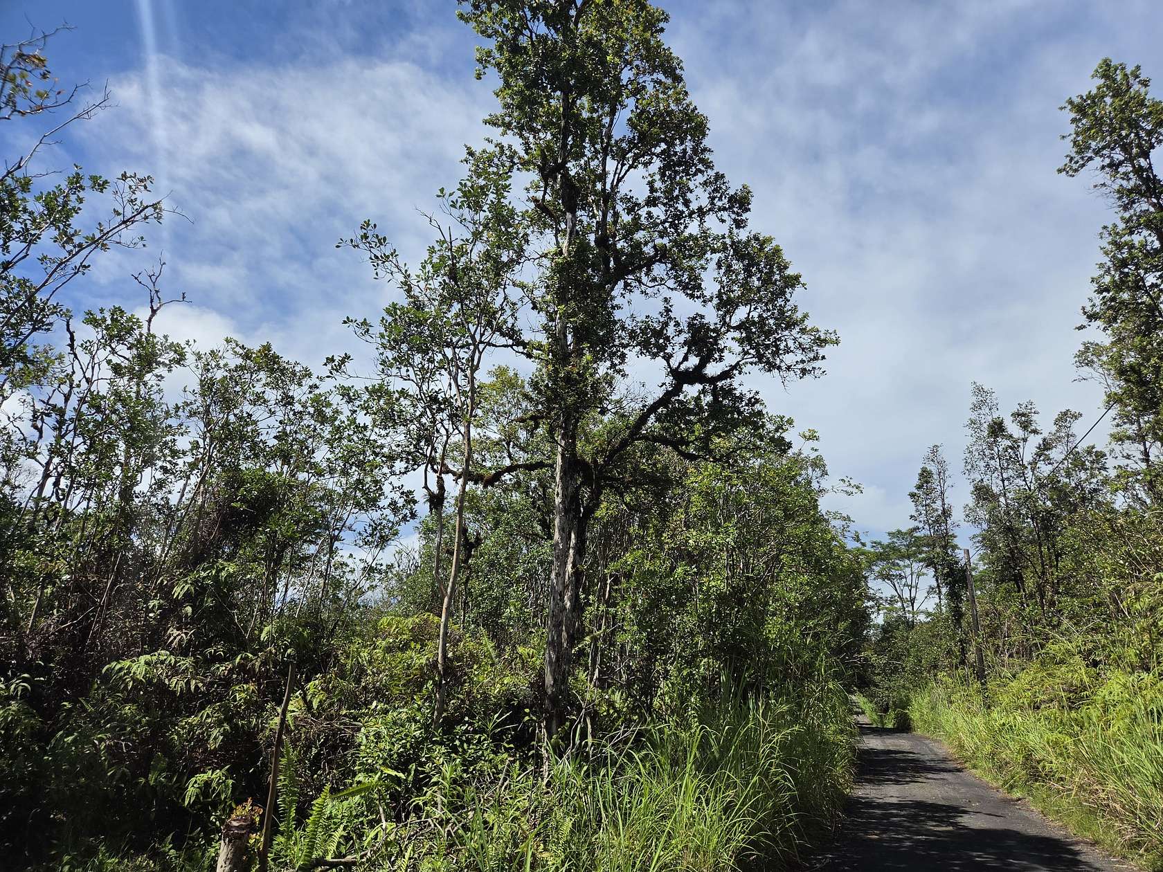 3 Acres of Residential Land for Sale in Kurtistown, Hawaii