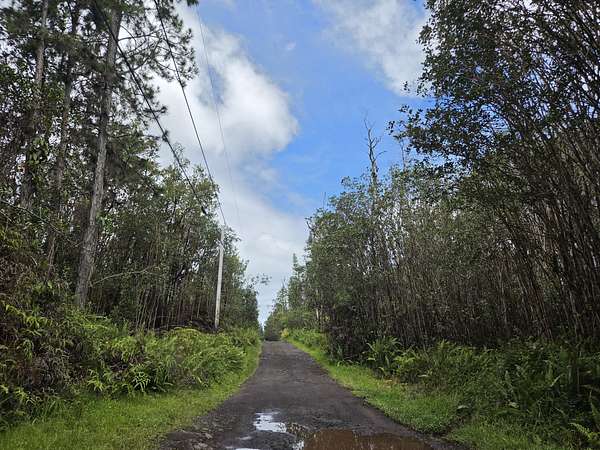 3 Acres of Residential Land for Sale in Kurtistown, Hawaii