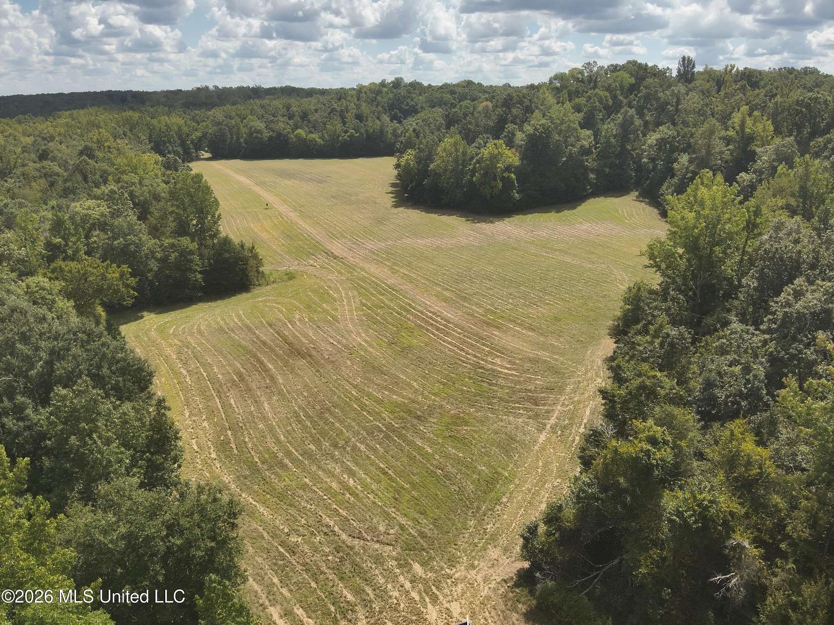 167 Acres of Recreational & Residential Land for Sale in Carrollton, Mississippi