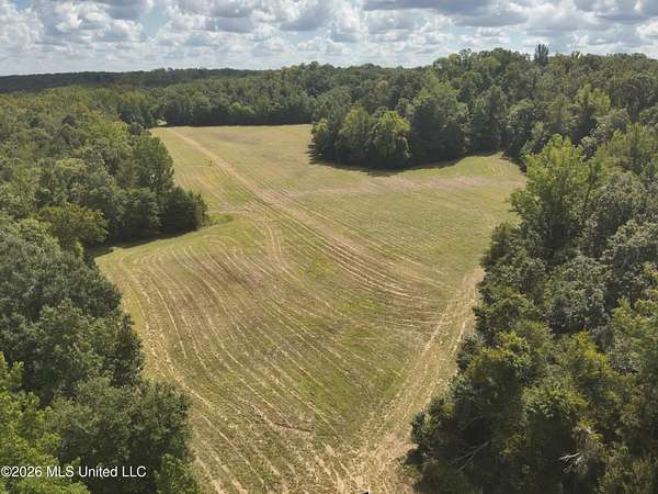 167 Acres of Recreational & Residential Land for Sale in Carrollton, Mississippi