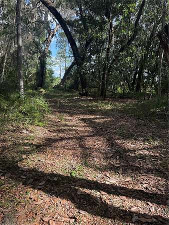 11.7 Acres of Land for Sale in Citra, Florida