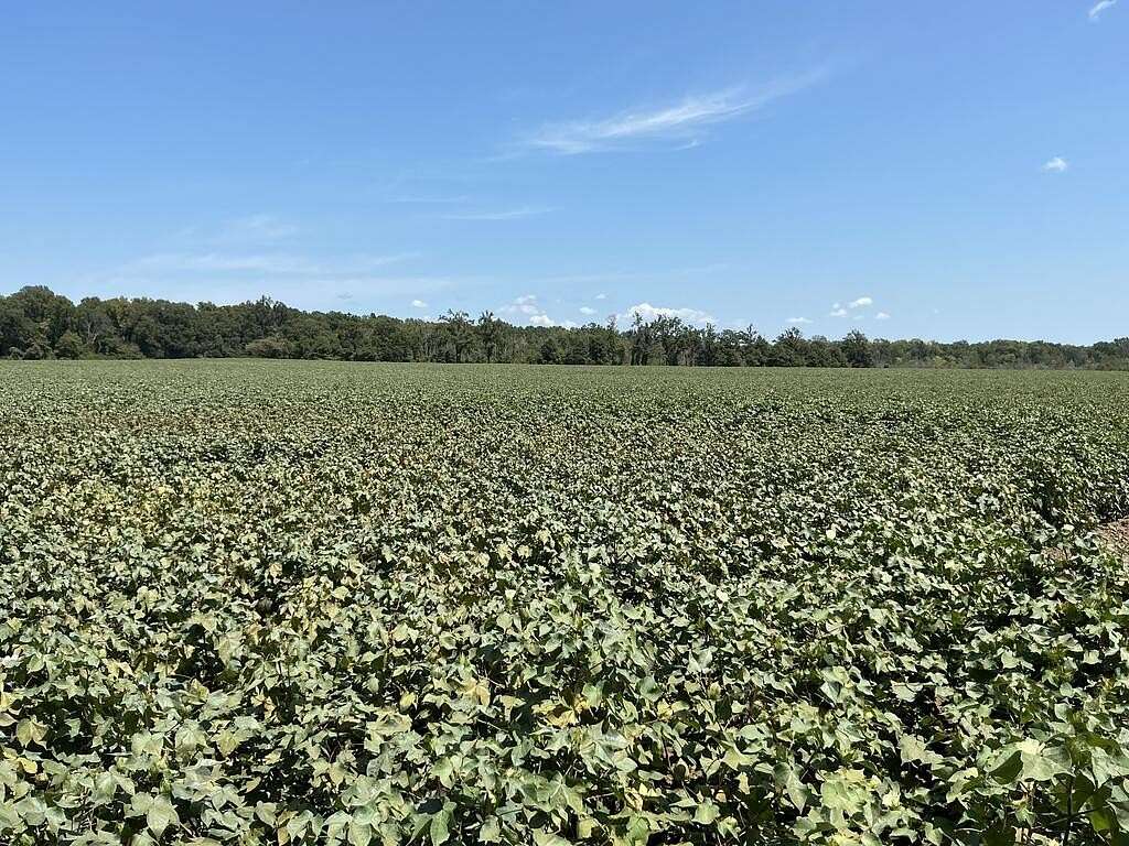454 Acres of Land for Sale in Greenwood, Mississippi