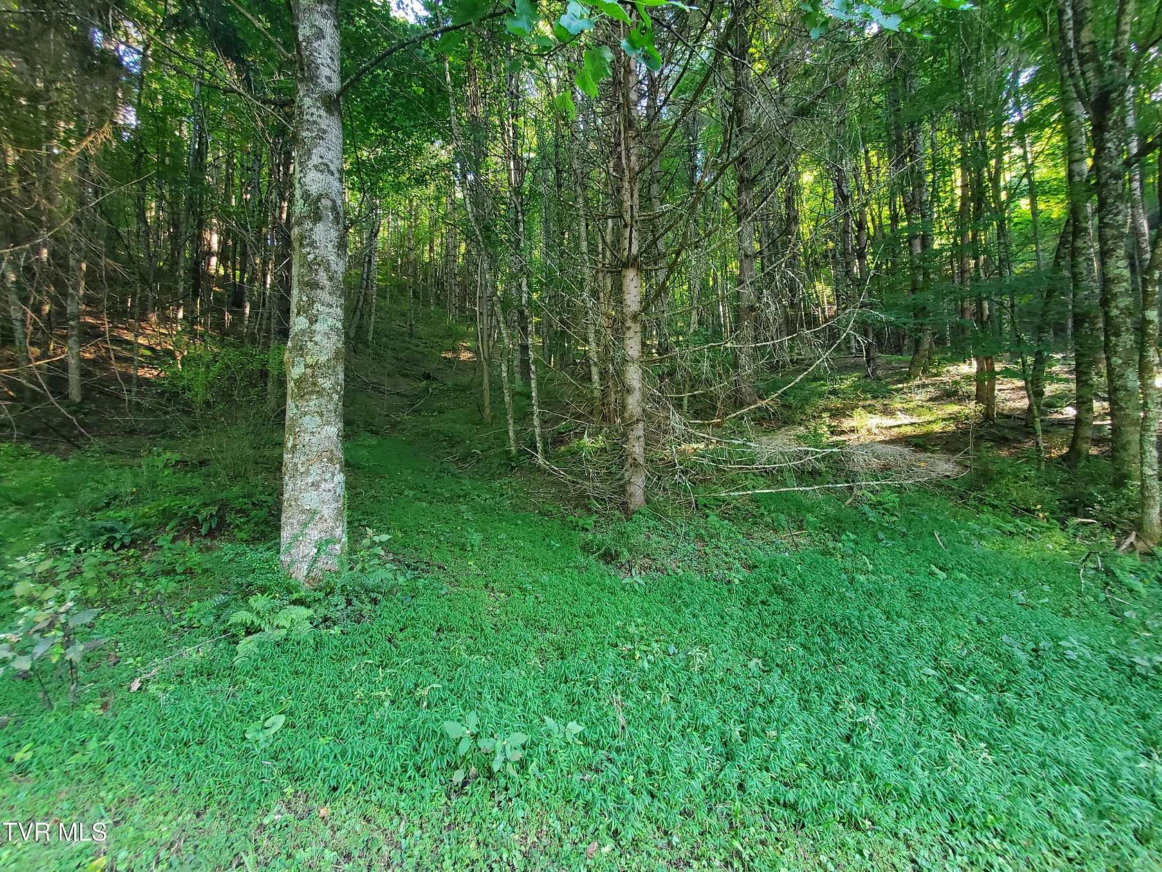 2 Acres of Residential Land for Sale in Roan Mountain, Tennessee