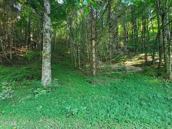 2 Acres of Residential Land for Sale in Roan Mountain, Tennessee