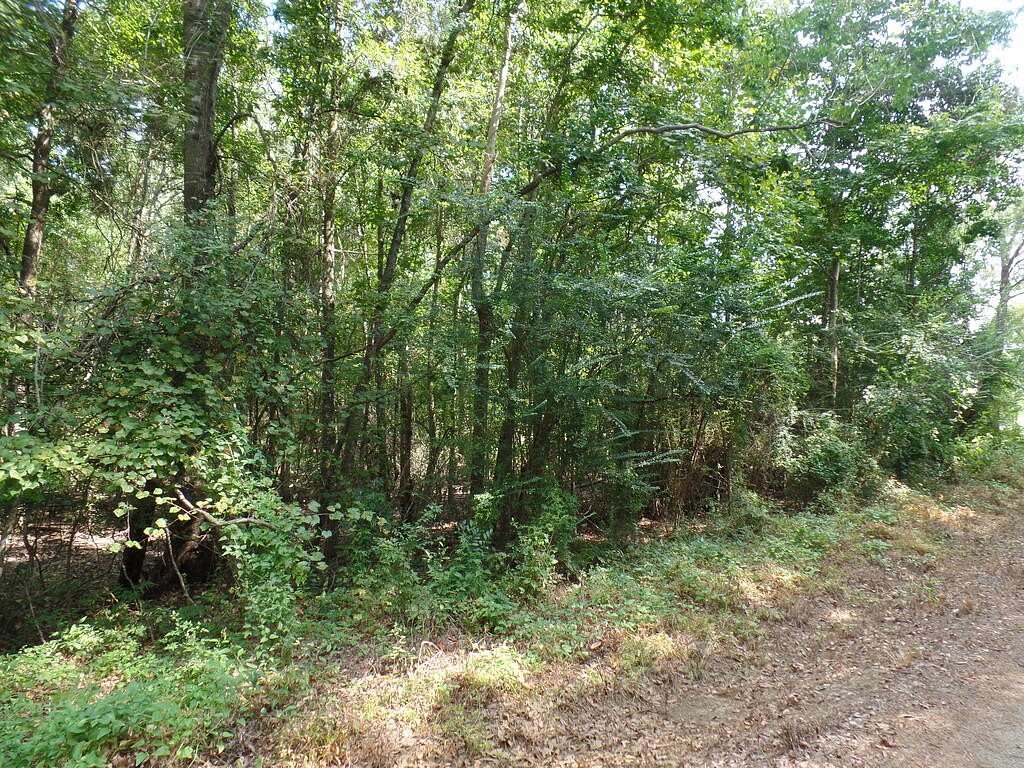 5.29 Acres of Land for Sale in Call, Texas