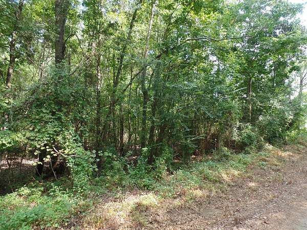 5.29 Acres of Land for Sale in Call, Texas