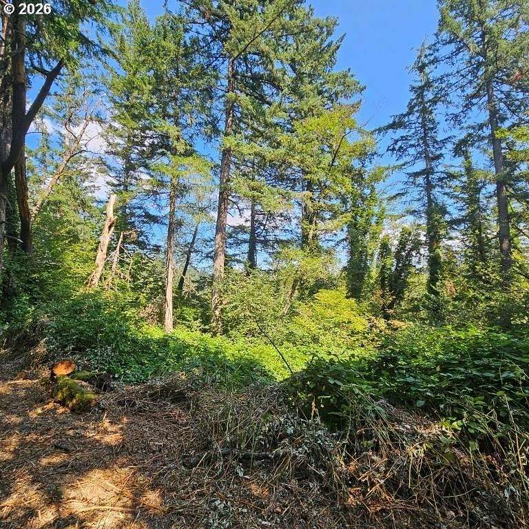 4.87 Acres of Residential Land for Sale in Washougal, Washington