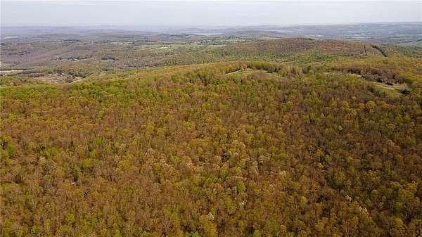 53.7 Acres of Recreational Land for Sale in Elkins, Arkansas
