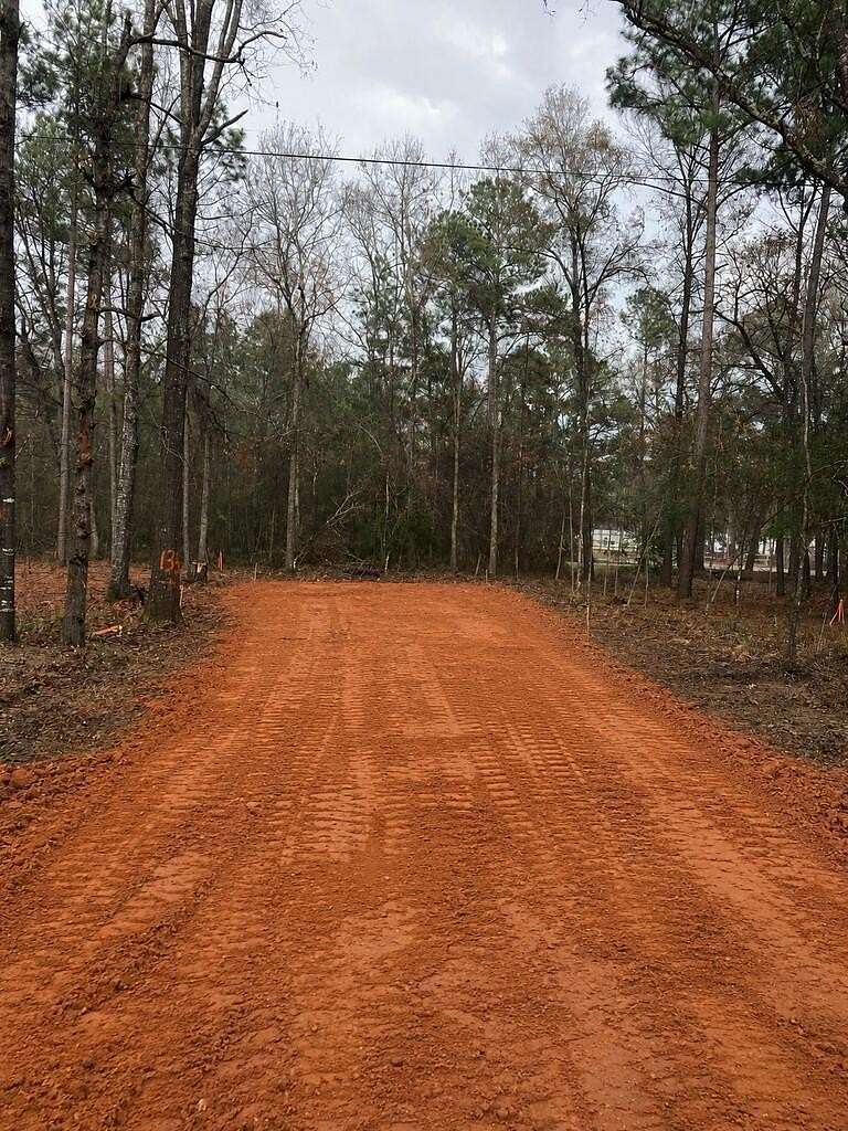 0.21 Acres of Land for Sale in Livingston, Texas