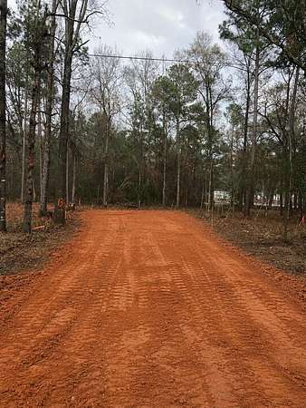 0.21 Acres of Land for Sale in Livingston, Texas