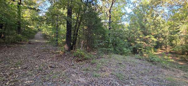 51 Acres of Recreational Land for Sale in El Paso, Arkansas