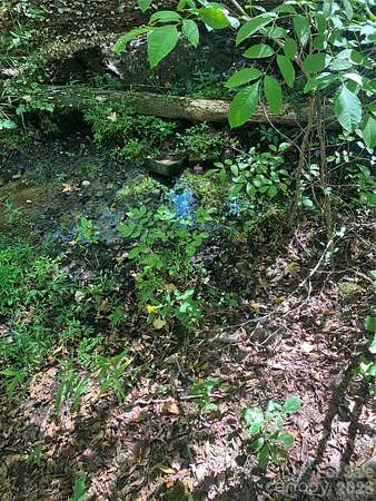 33.8 Acres of Recreational & Residential Land for Sale in Salisbury, North Carolina