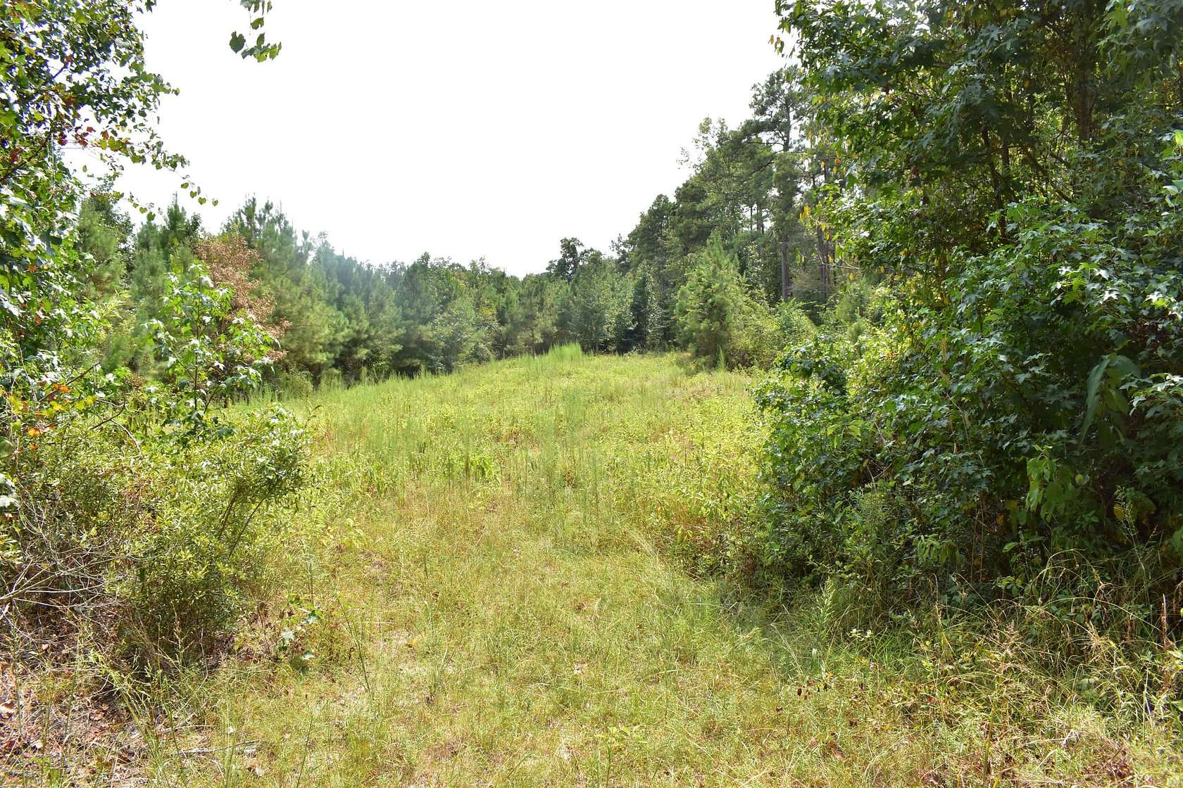 13.5 Acres of Recreational & Residential Land for Sale in El Dorado, Arkansas