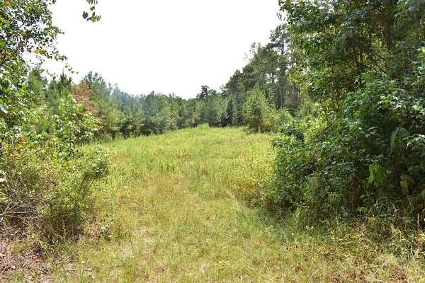 13.5 Acres of Recreational & Residential Land for Sale in El Dorado, Arkansas