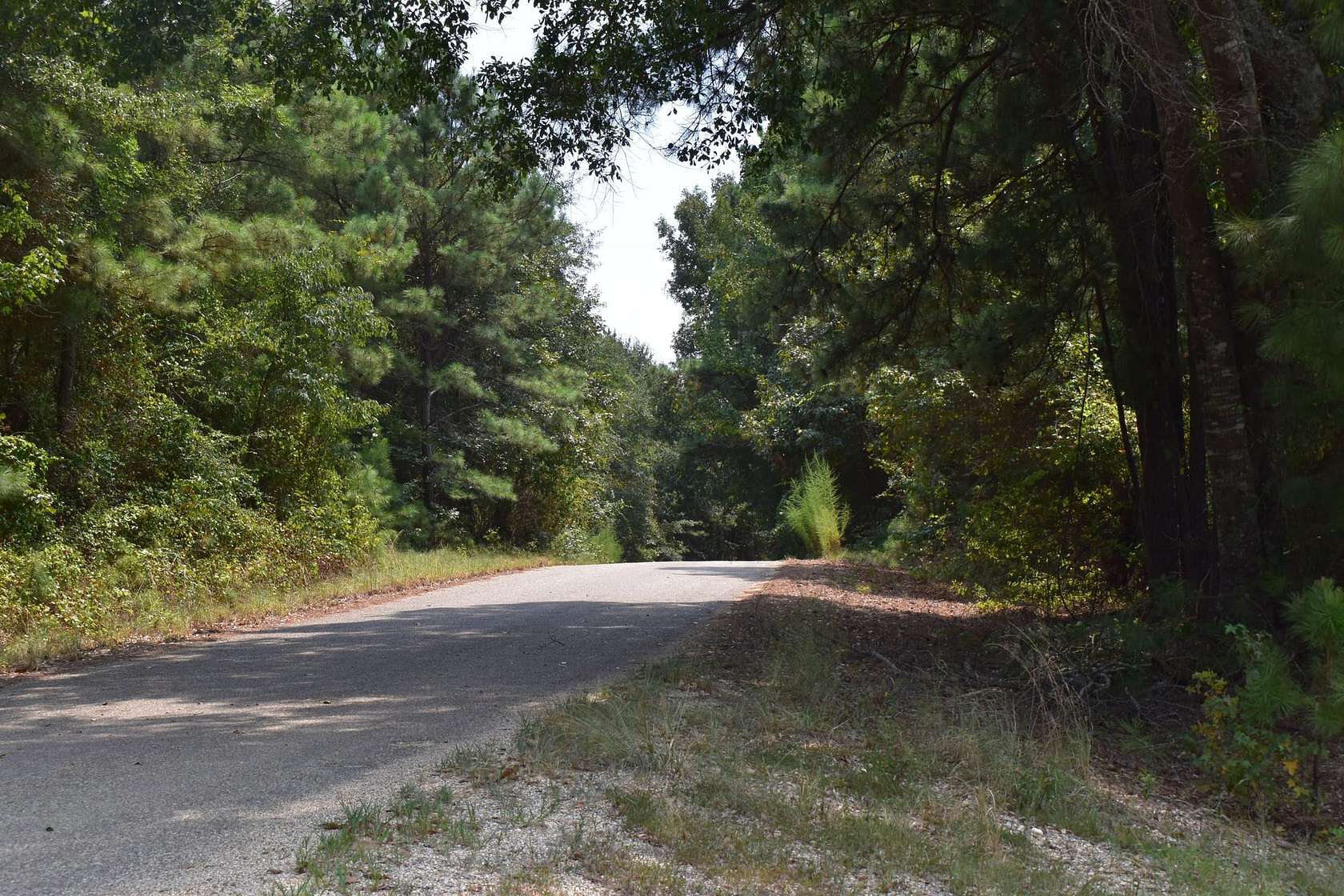 13.5 Acres of Recreational & Residential Land for Sale in El Dorado, Arkansas