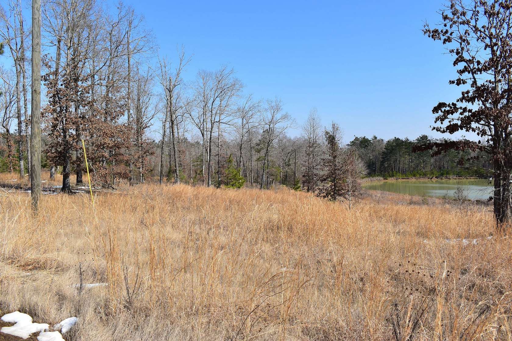 23.4 Acres of Recreational & Residential Land for Sale in Calhoun, Louisiana