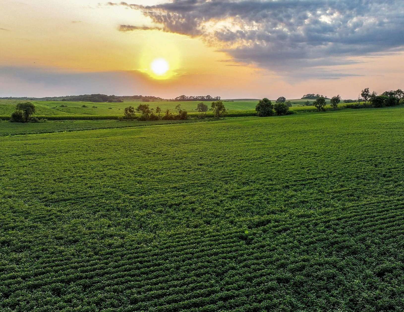 79.5 Acres of Land for Auction in Stockton, Illinois
